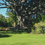 Arderne Tuine: ’n Flora- en Fauna-Paradys in Claremont