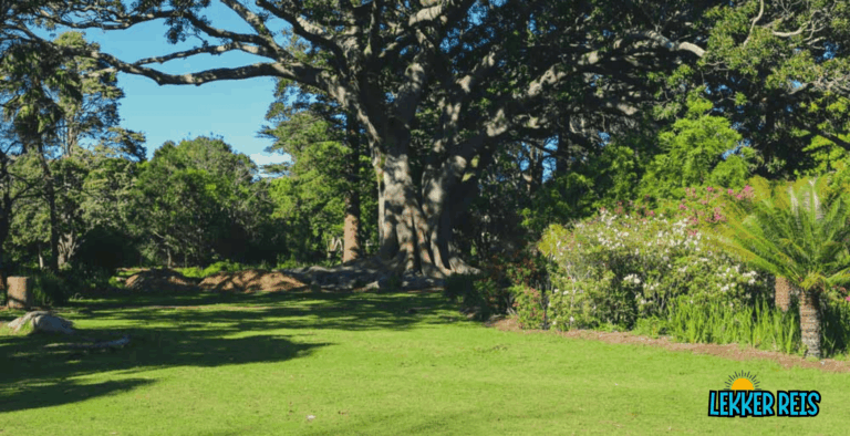 Arderne Tuine: ’n Flora- en Fauna-Paradys in Claremont