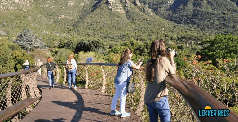 Kirstenbosch: ’n Fynbos-Paradys teen Tafelberg se Hange