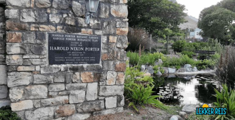 Harold Porter Botaniese Tuin: ’n Fynbos-Paradys in Betty’s Bay
