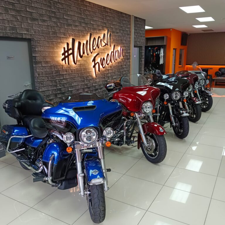 Harley Shot 1 1 768x768