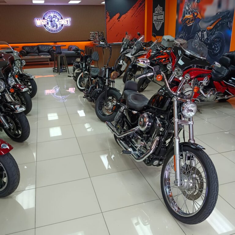 Harley Shot 2 1 768x768